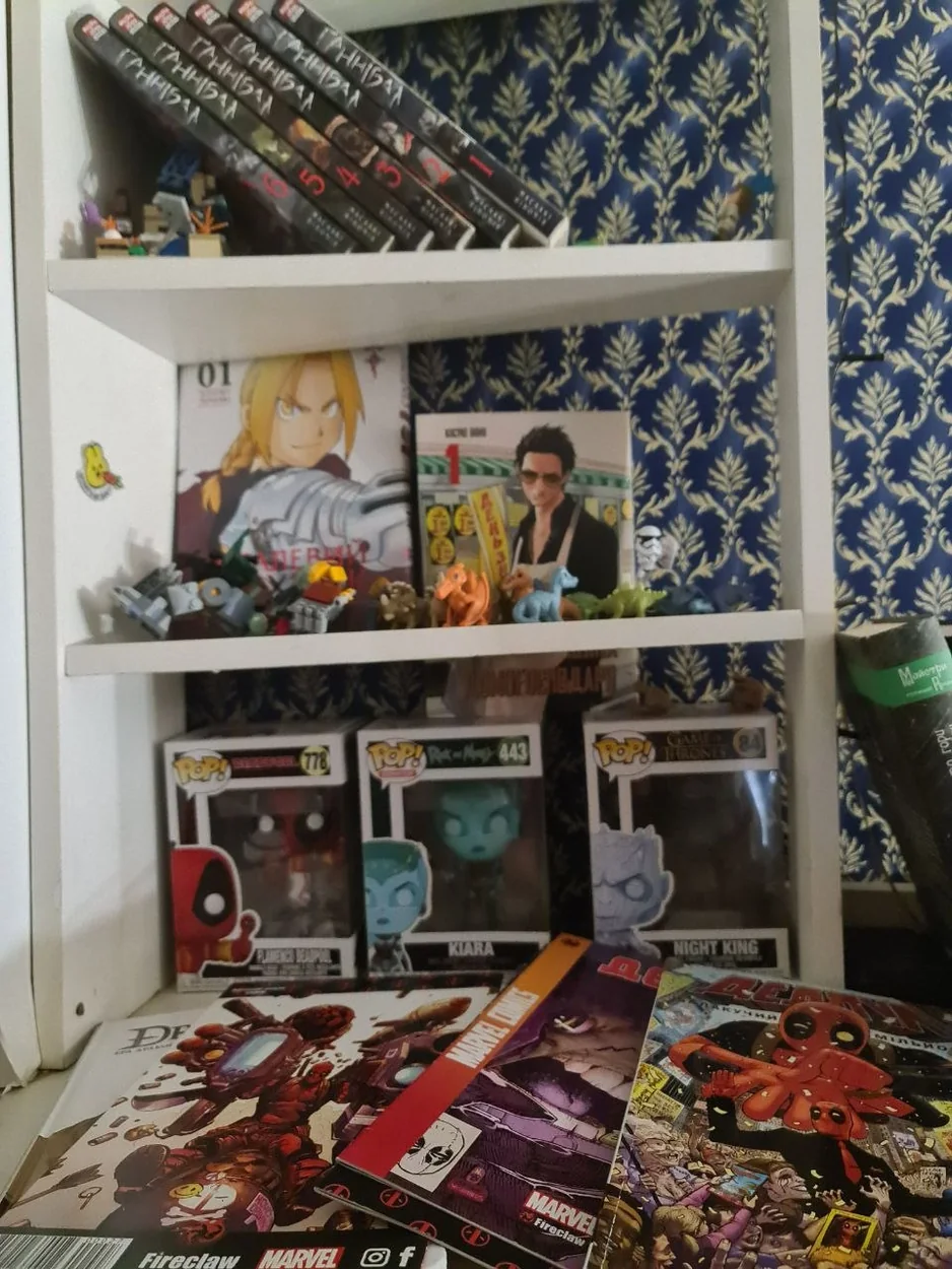 Anime, manga, and a shelf of gothic horror